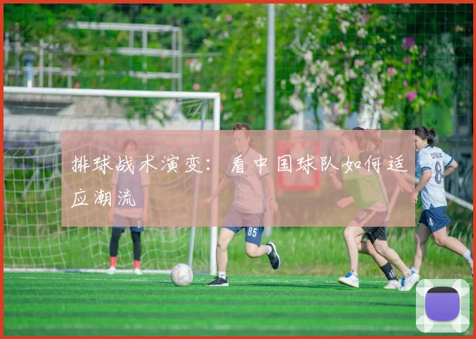 排球战术演变:看中国球队如何适应潮流